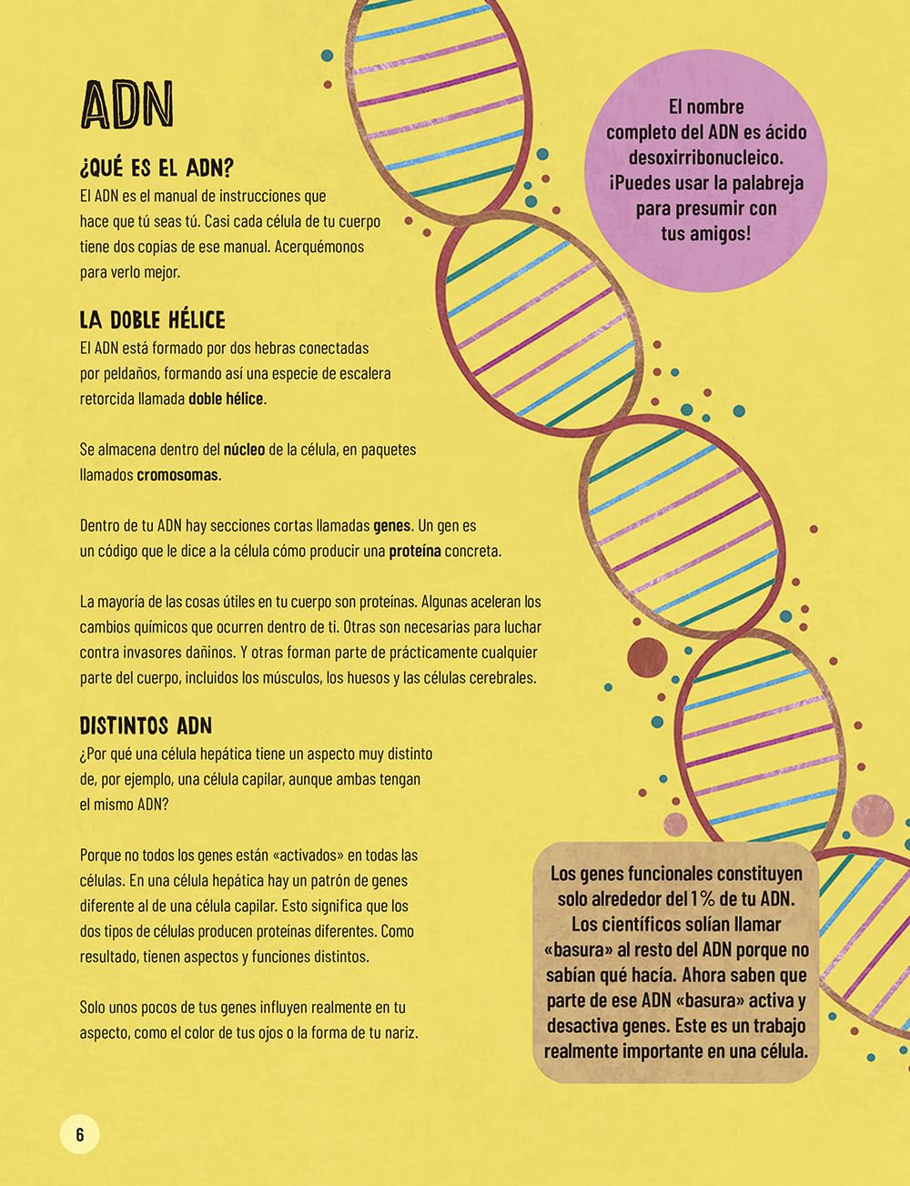 Un muy breve viaje a través del cuerpo: Edición ilustrada de un recorrido apasionante de la cabeza a los pies (Infantil)