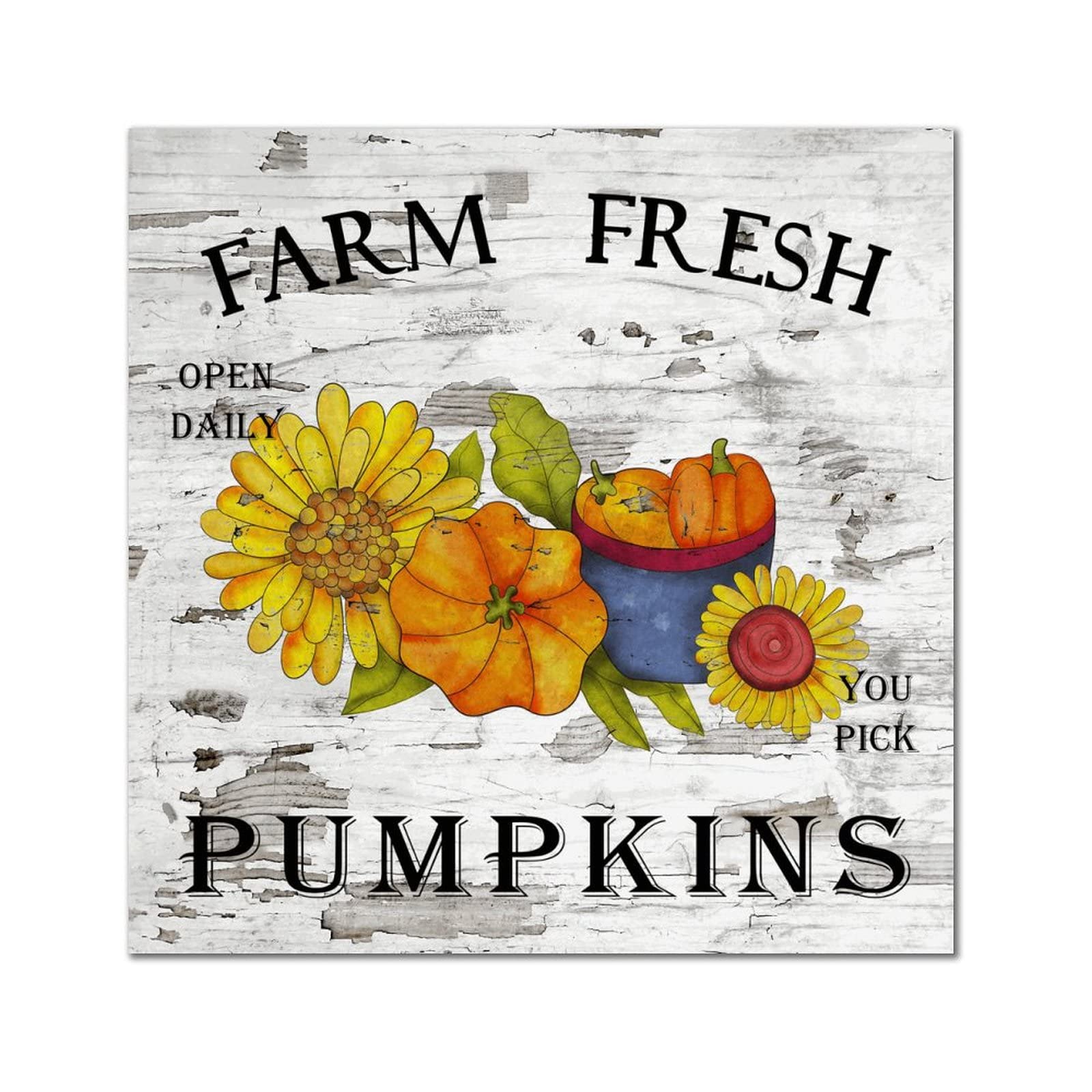 Panneau mural en bois Farm Fresh Pumpkin plaque vintage décoration maison cuisine chambre 35cm