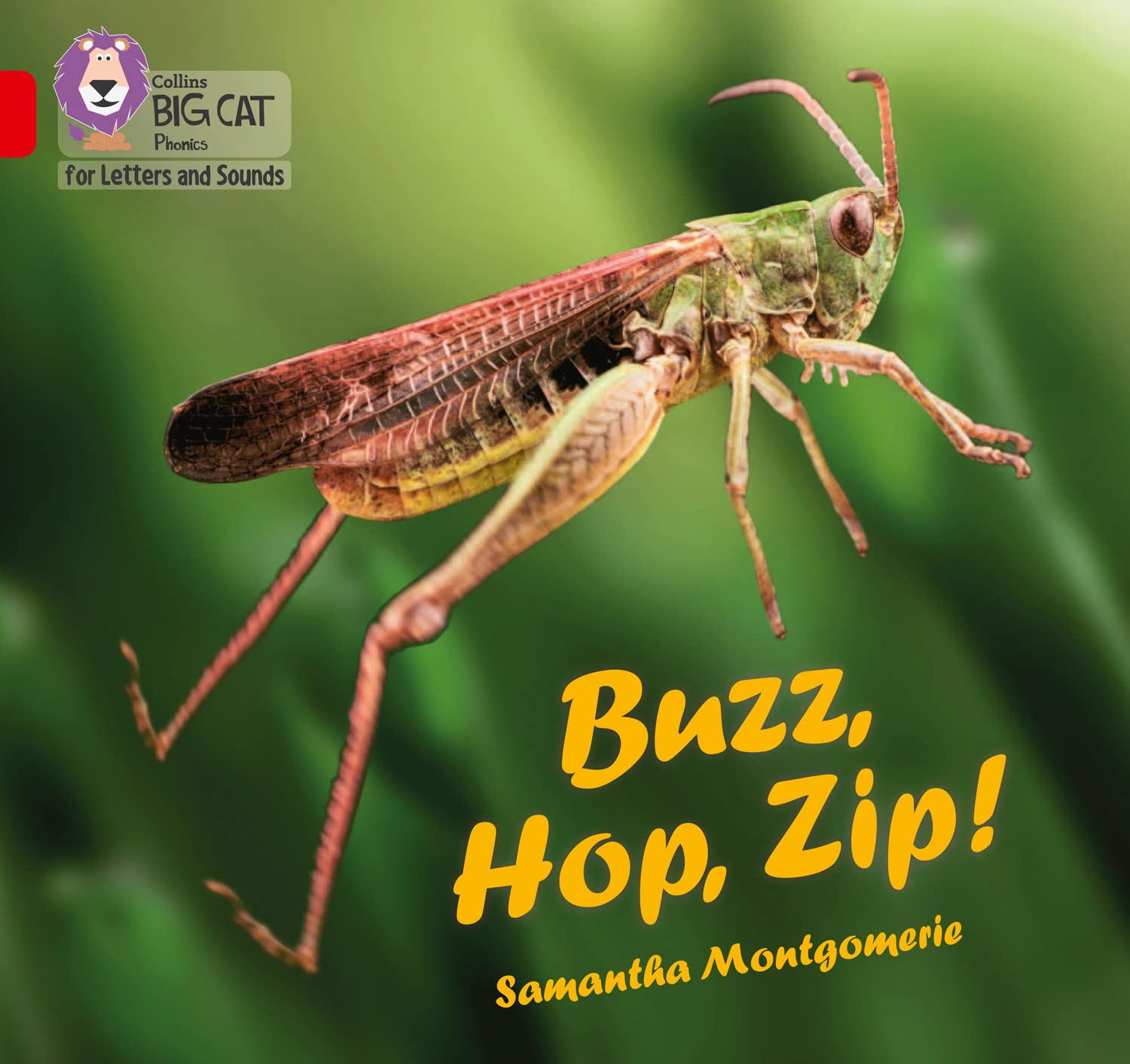 Buzz, Hop, Zip!: Band 02A/Red A (Collins Big Cat Phonics for Letters and Sounds)