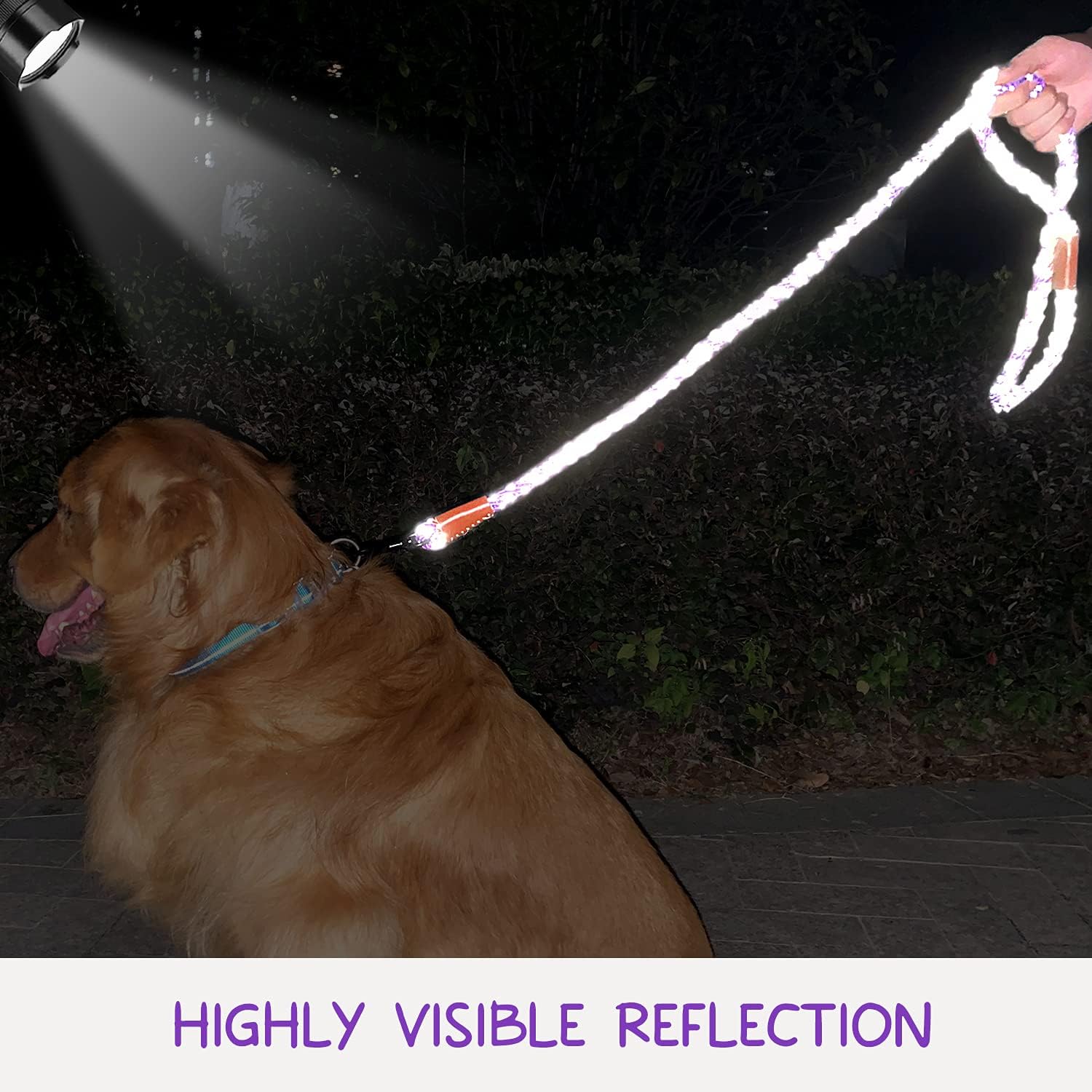 Dynmeow 6 ft Reflective Nylon Dog Rope Leash, 1/2 Inch Thick Strong Rope Lead for Small Medium Large Breed Dogs from 20 lbs to 180 lbs, Purple