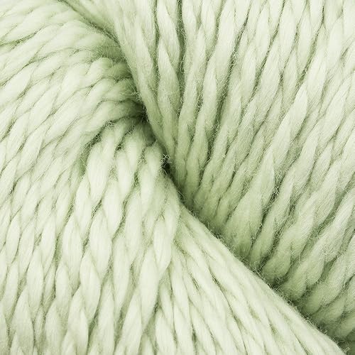 Blue Sky Alpacas - Hilo de algodón orgánico (626 STONE)