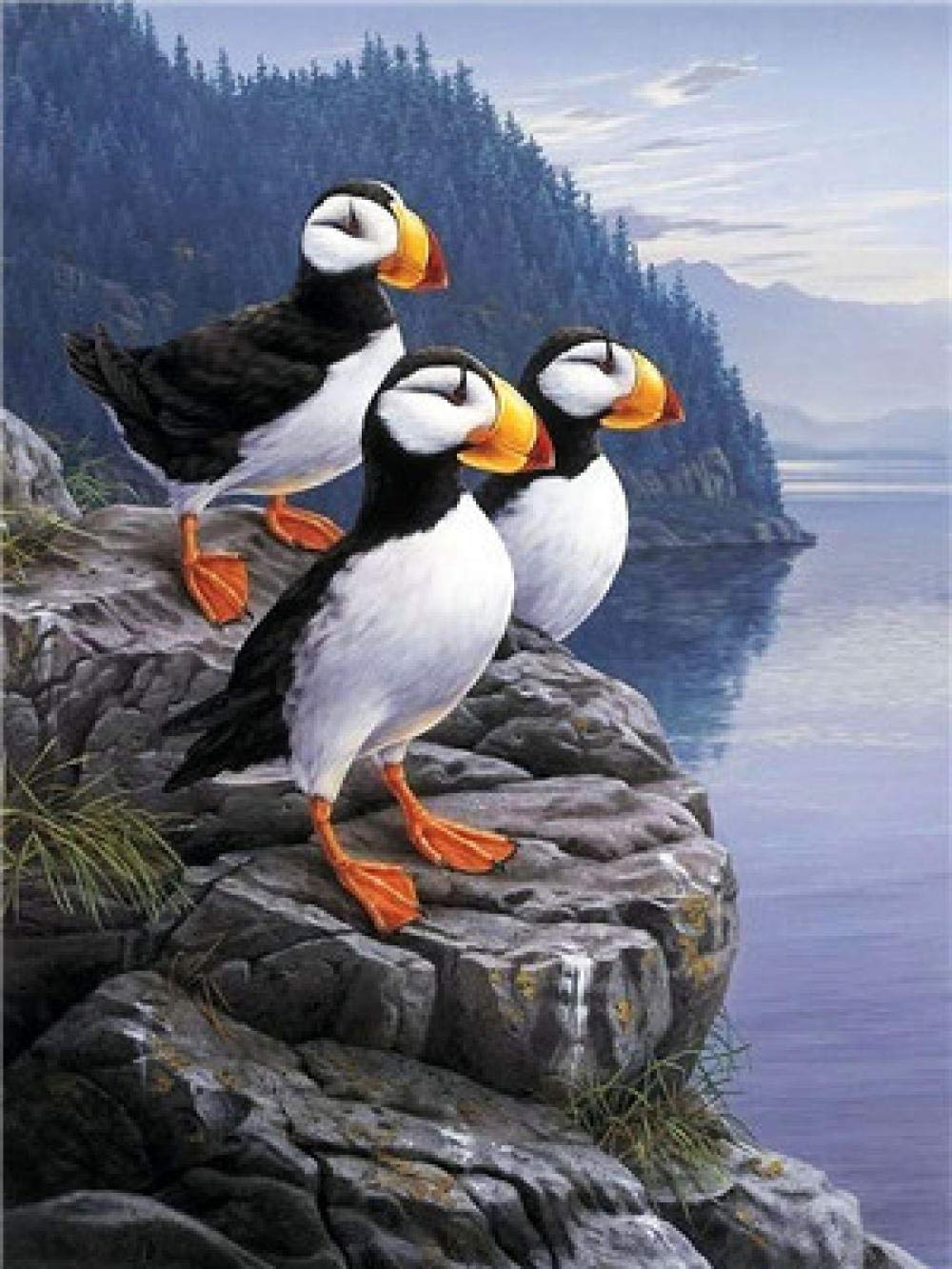 YUXAOYFAK Diy Painting By Numbers Puffin Artist Painting Colour Diy Oil Painting,Adults And Kids Acrylic Paints And Brushes Paint By Number Kit 16*20 Inch Canvas Painting
