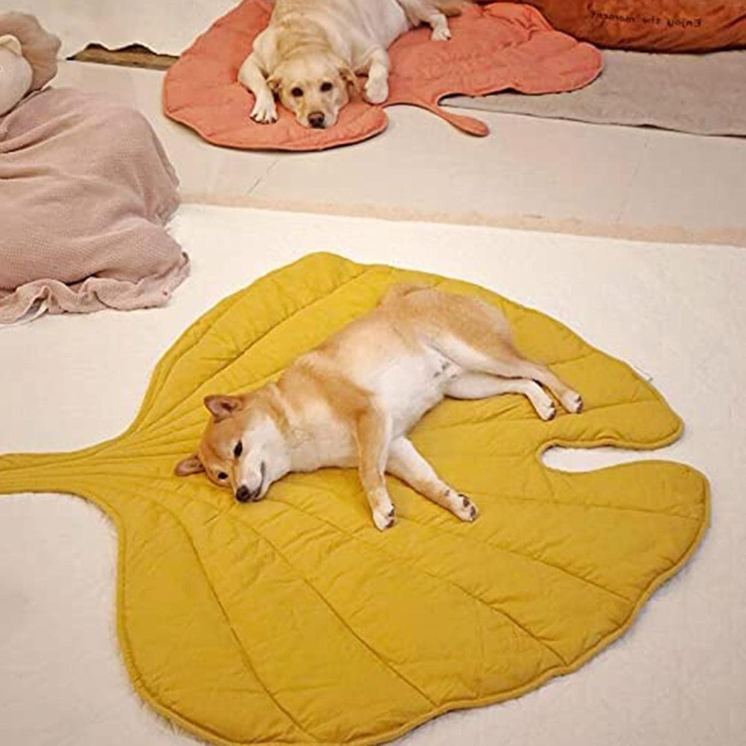 review 3D Leaves Shaped Pet Blanket,Cushion Household Dog Blanket or Cat Blanket, Warm a Soft, Plush Blankets for Dog Bed a Cat Bed Couch Sofa, Green