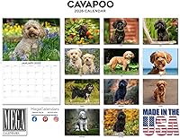 Vista 166 de Razas de Perros 2017