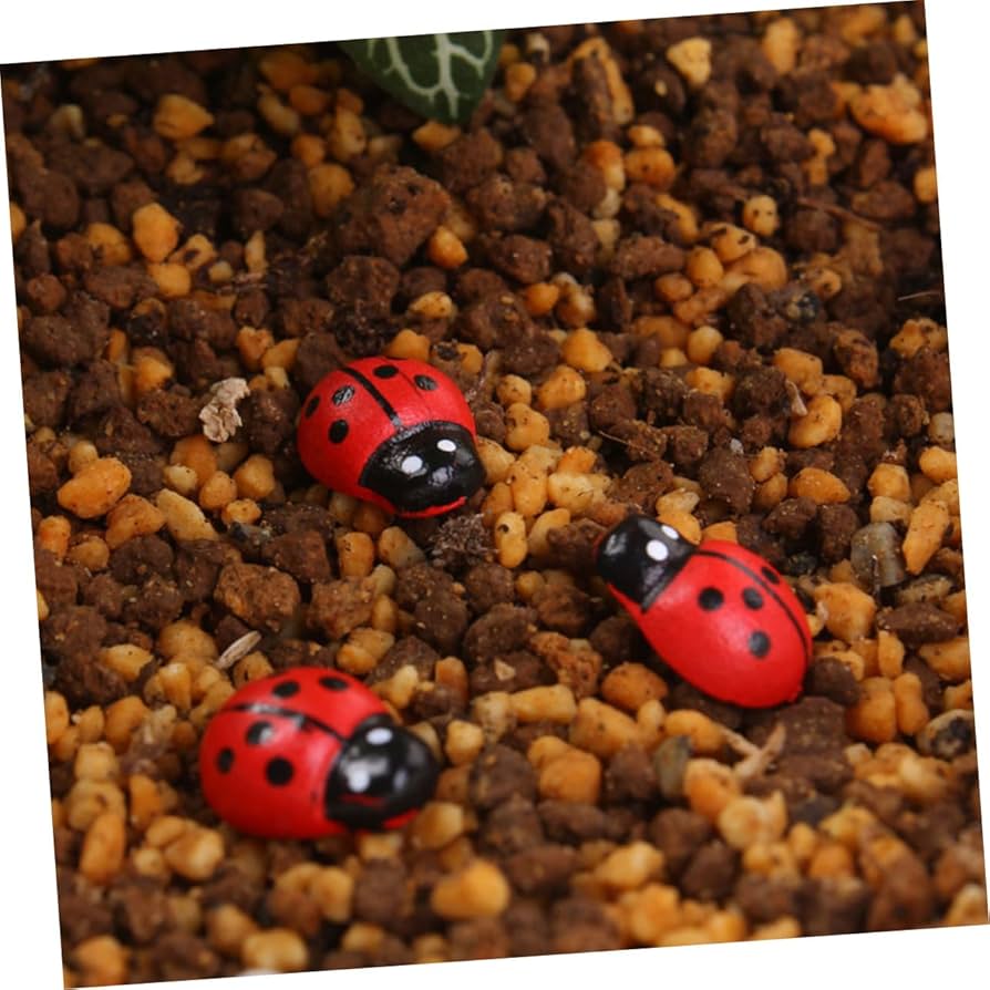 Amazon.co.jp: ノーブランド品 300個 昆虫模型 多肉植物装飾