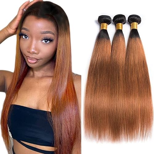 Labamiya Ombre Brown Human Hair Bundles 24 26 28 Inch Straight T1B/30 Brown Bund