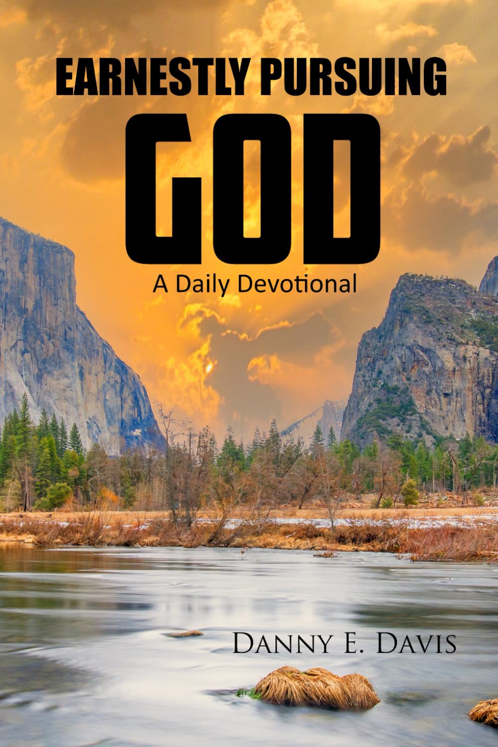Earnestly Pursuing God: A Daily Devotional