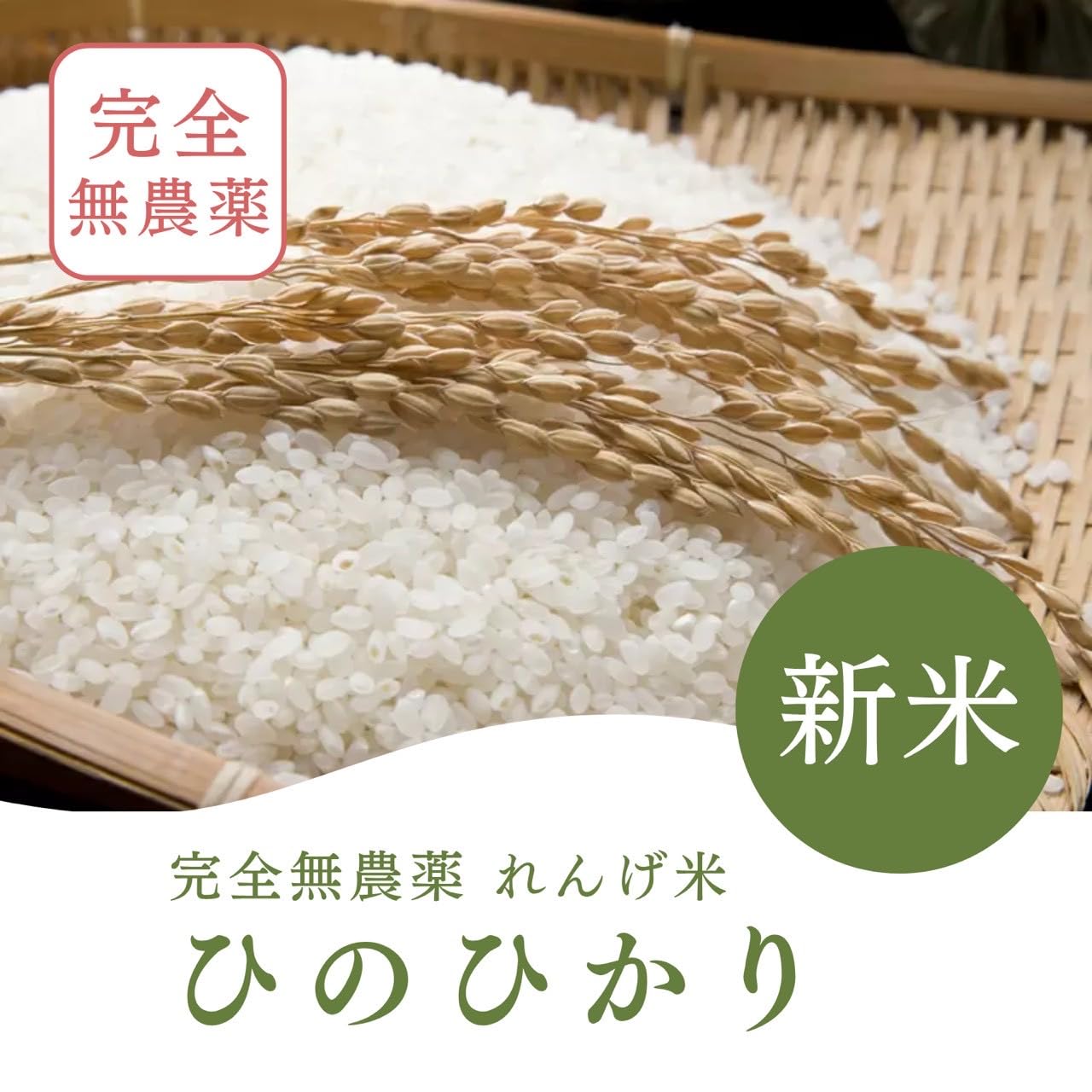 Amazon.co.jp: 【ひのひかり】新米 お米 5kg レンゲ米 コメ 精米 米