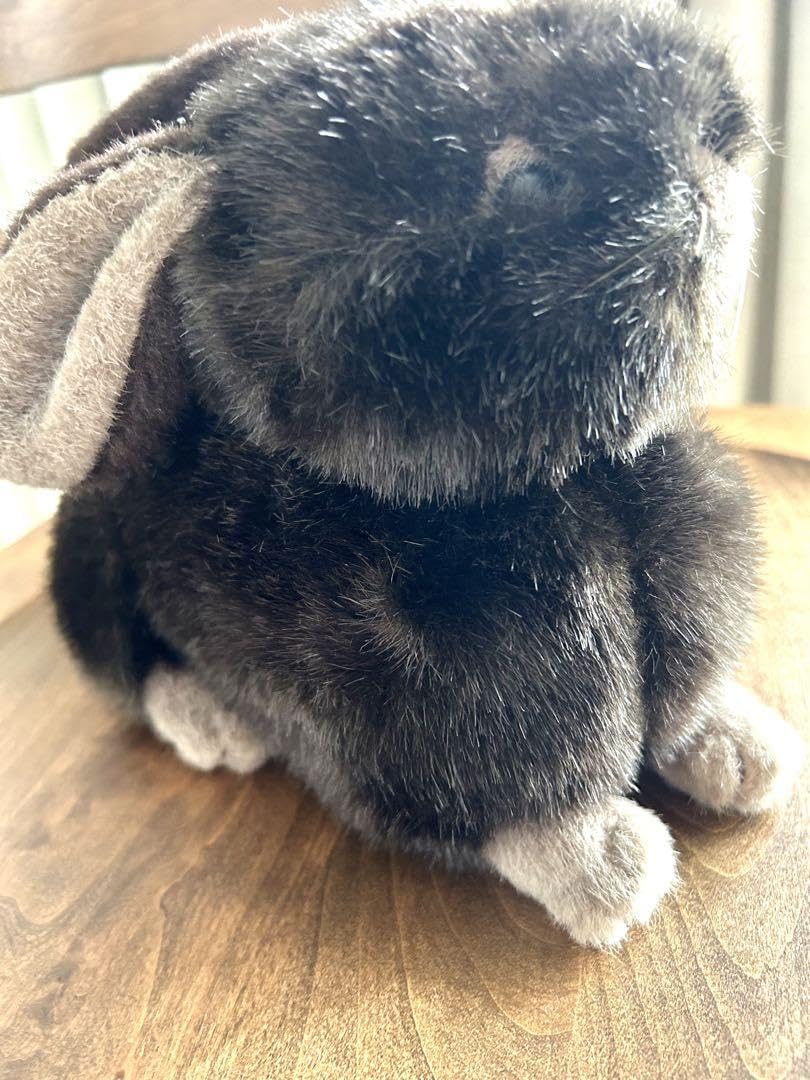 Amazon.co.jp: ☆ ヴィンテージ ファースト社／ネザーランドドワーフ