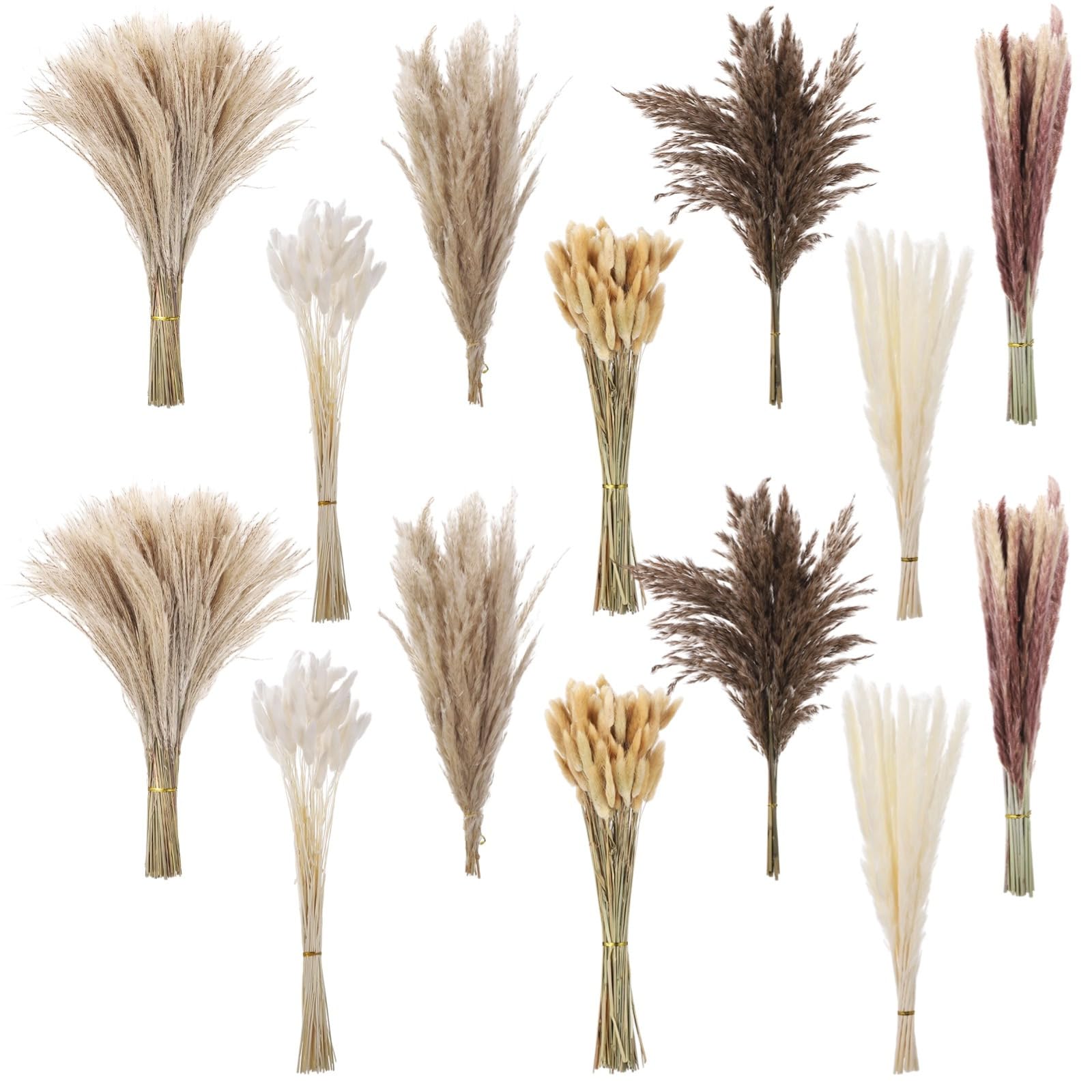 Lot de 300 herbes de la pampa séchées, eucalyptus et queue de lapin, décoration bohème de mariage et de salon