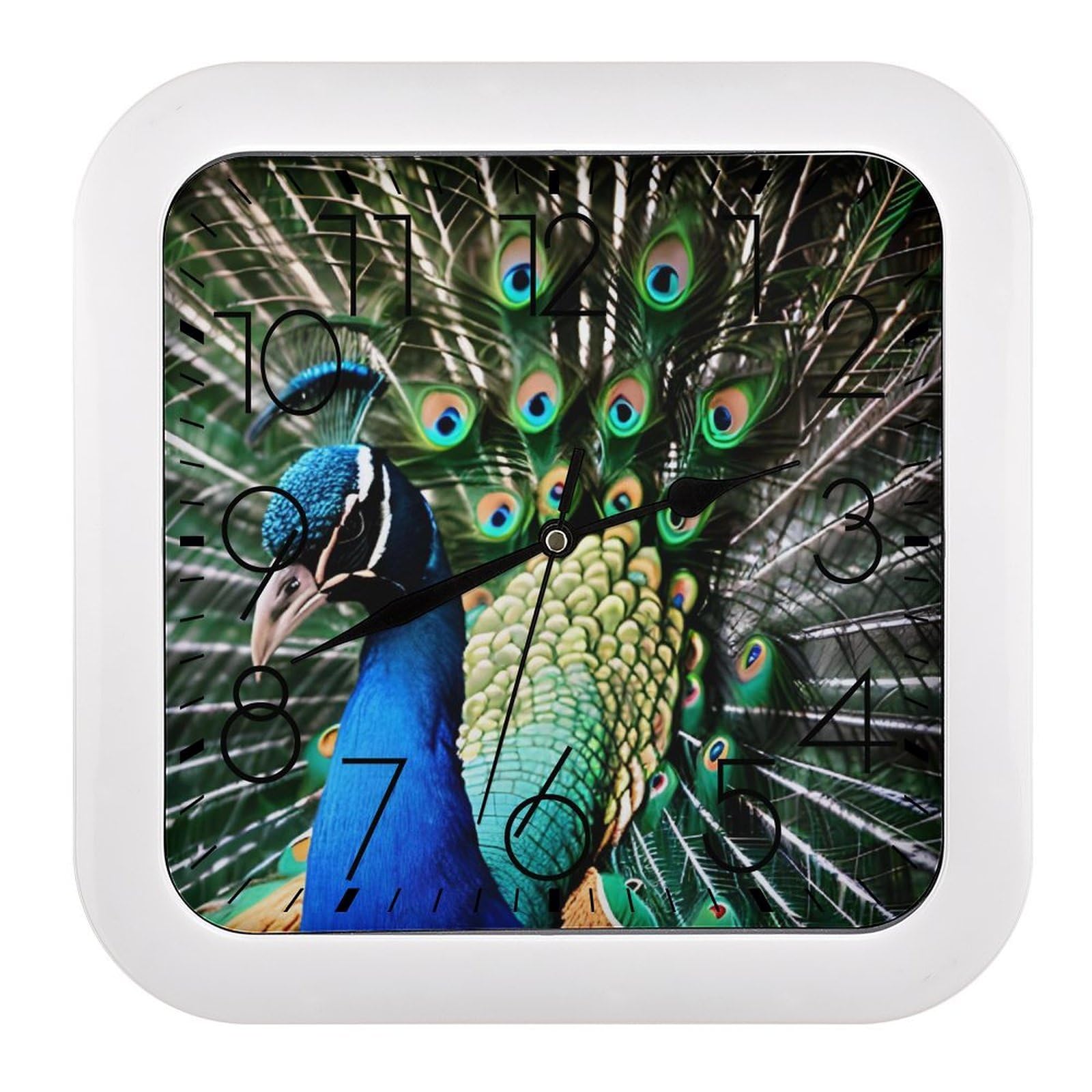 LZQPOEAS Peacock Square Wall Clock, 10.2 Inch Battery Operated Silent Non-Ticking Wall Clock, Square Analog Decorative Clock for Home Wall Art, Living Room, Bedroom, and Office