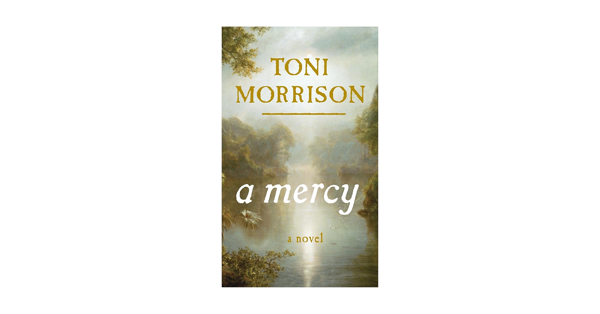 洋書 Toni Morrison: Paradise | Love | A Mercy 71srAXKAS9L._UF350,350_QL50_.jpg