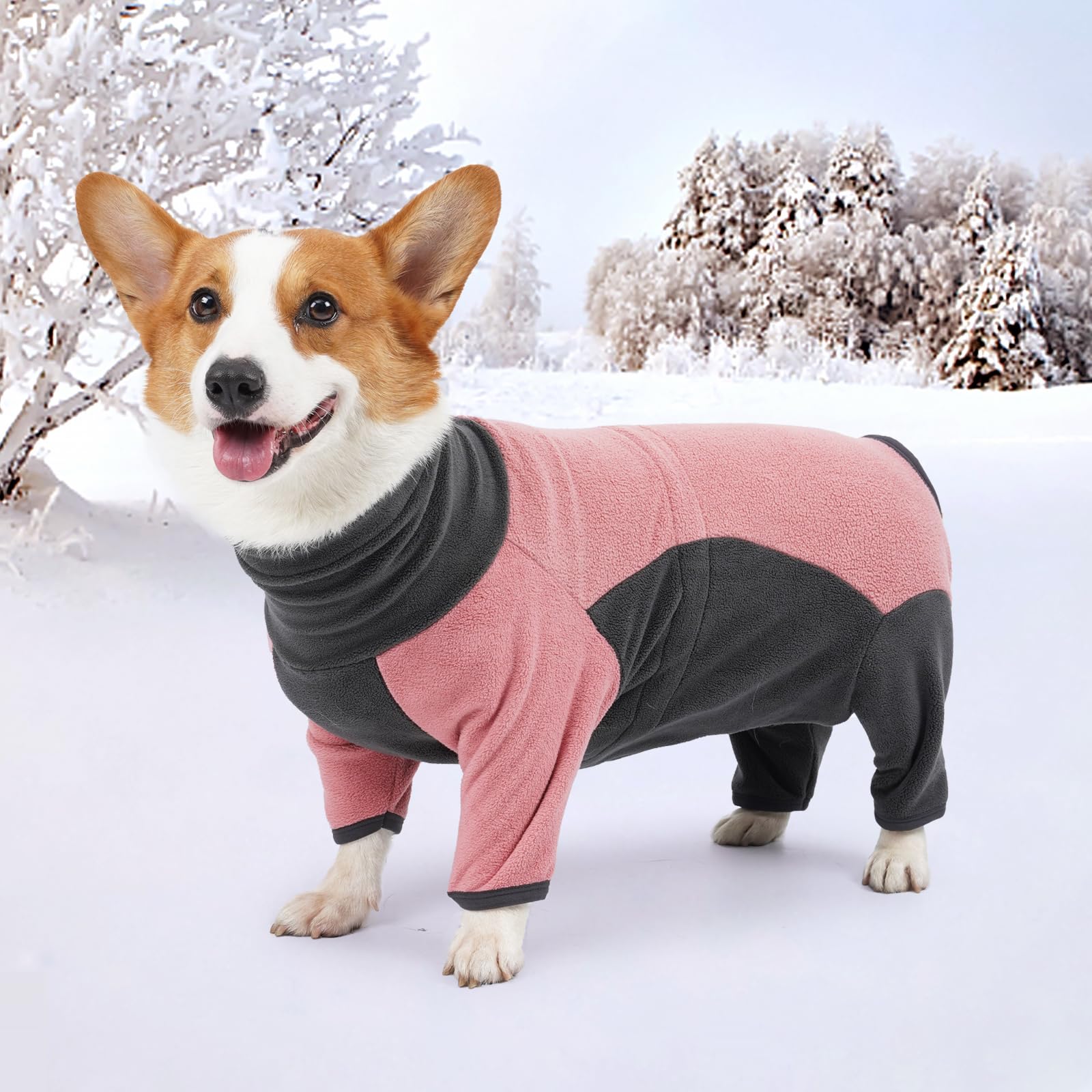 Abrigo de invierno para perro, pijama suave y cálido para perro, sudadera de forro polar a prueba de viento, ropa para clima frío, cuello alto, mameluco de cuerpo completo para caminar,