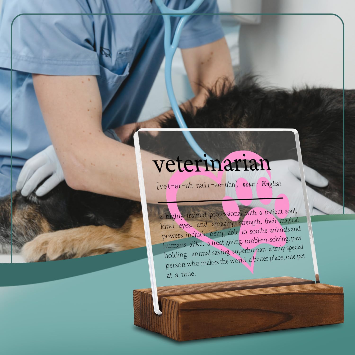 Veterinarian Gift Clear Desk Decor Sign, Appreciation Gifts for Vet Thank You Gift for Veterinary Graduation, Vet Definition Plaque Signs Gifts for Animal Doctor Men Women Office Decor