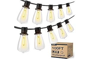 Addlon Dimmable Color-Changing Outdoor String Lights Waterproof