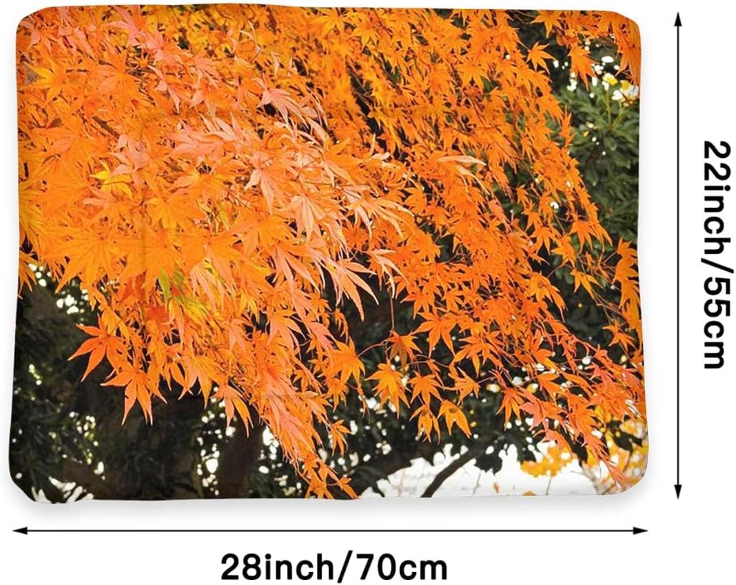 review Orange Yellow Brown Thermal Pet Mat Bed Liner Fall Vibrant Leaves Reusable pet Pads, Great for Dogs, Cats, Bunny & Seniors Leaves Decor 22