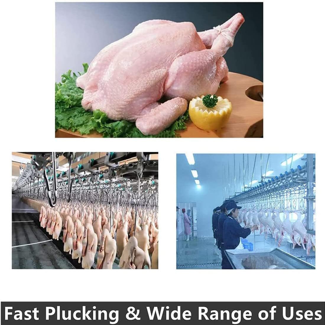 Spiumatrice per Polli, Spiumatrice Elettrica, Spiumatrice Automatica per Pollame, Spiumatrice Commerciale per Pollo, Anatra, Oca, Per Fattoria, Ranch, Uso Domestico,150W