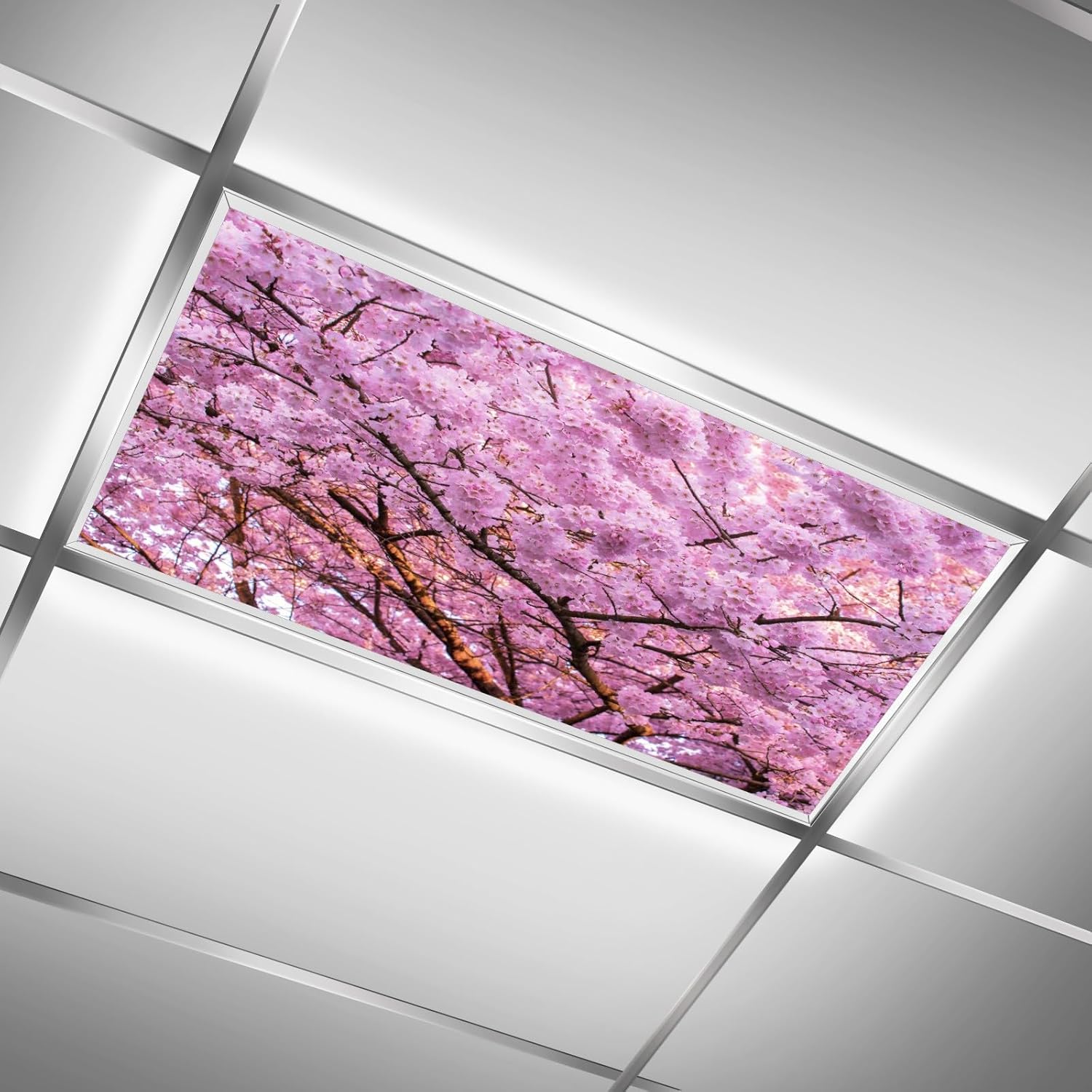 Ceiling Fluorescent Light Covers for Classroom 2 x 4