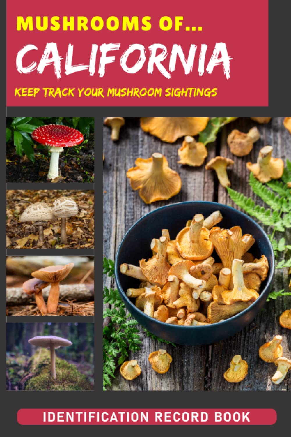 Mushrooms In California Book Edible Collecting Logbook Wild