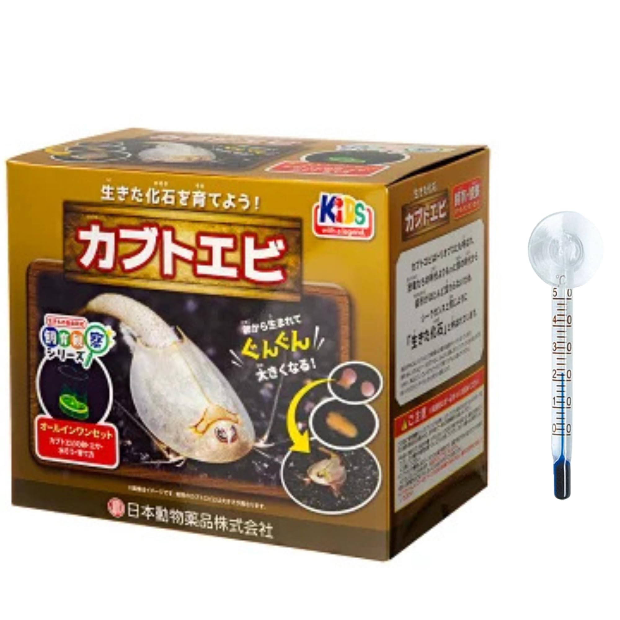 生き た 化石 カブトエビ
