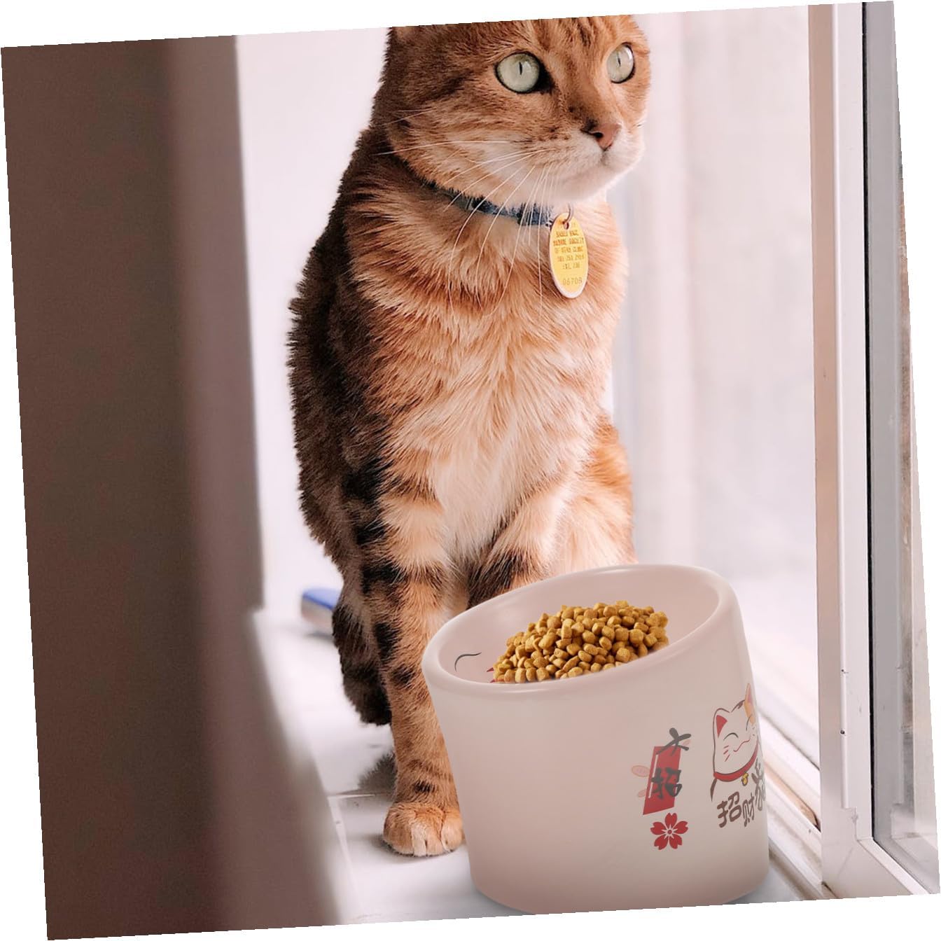 Anti-Spill Elevated Ceramic Cat Bowl with Safety Neck Protector, Non-Skid Pink Pet Feeding Dish for Cats and Kittens