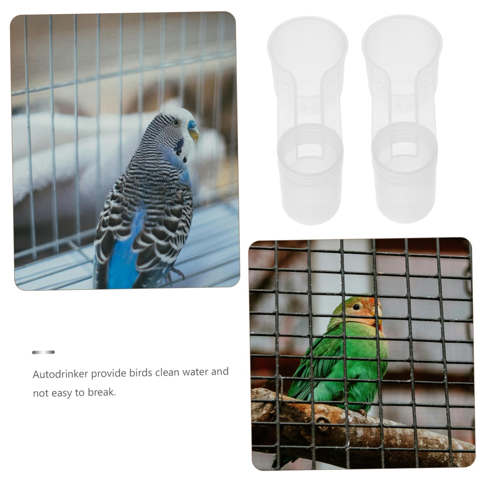 BESPORTBLE 10 Uds Bebedero De Agua para Pájaros Pantalla De Rafia Aguas De Pollo Y Alimentador Bebedero para Pájaros Bebedero Automático para Palomas Bebedero para Pájaros Taza Bebedero para