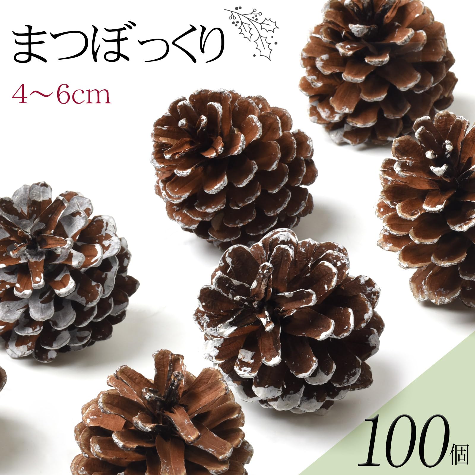 Amazon.co.jp: 松ぼっくり 約4〜6cm 天然素材 大容量 業務用