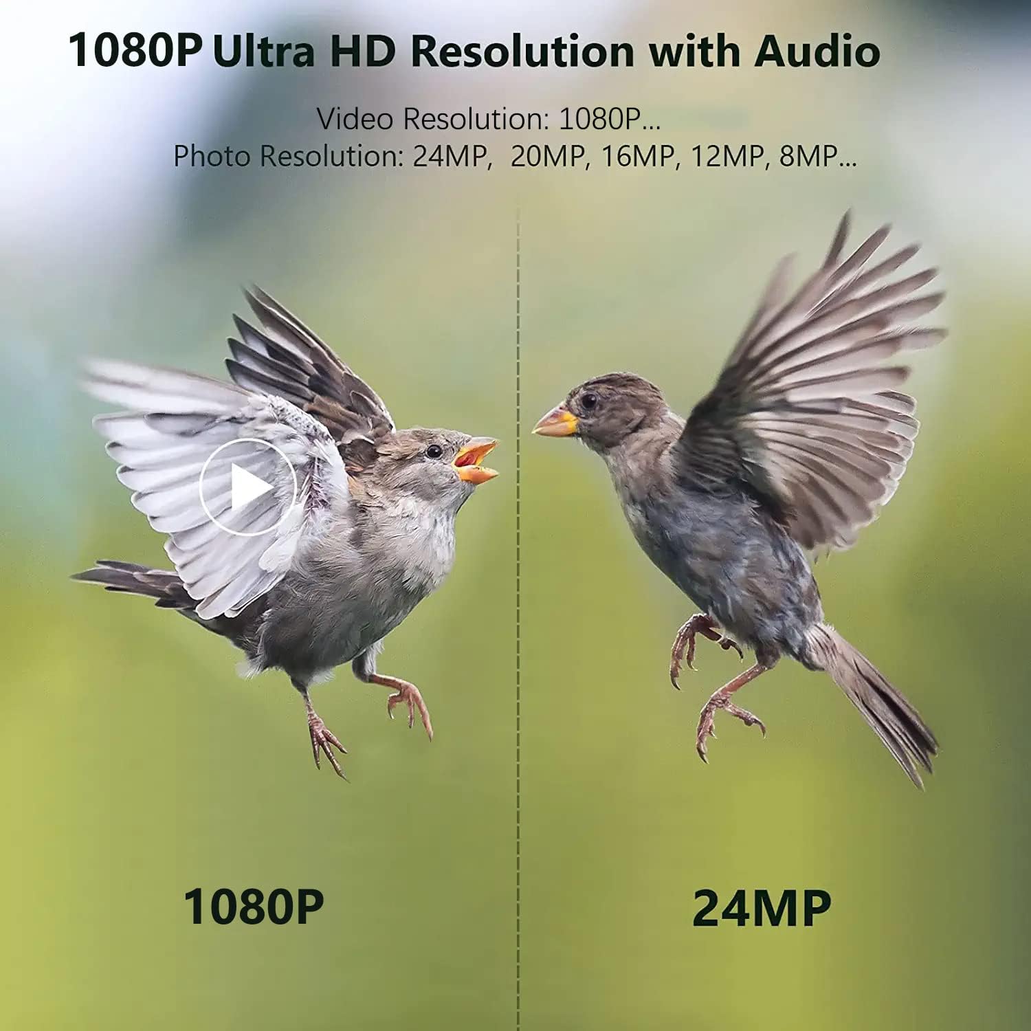 Comparison image showing 1080P video resolution and 24MP photo resolution capabilities of the camera.