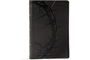 Rainbow Chelsea Boot with Studded Sole