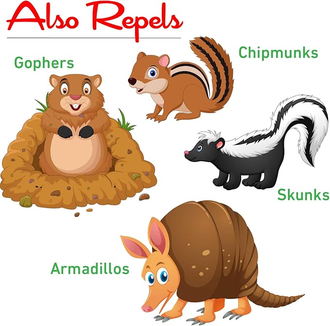 One of the standout features of this repellent is its pleasant scent, which makes it more enjoyable to use compared to other harsh-smelling products on the market. The 10lb package size allows for plenty of coverage, making it suitable for larger yards or areas that are prone to mole and vole activity. With I Must Garden Mole & Vole Repellent, you can enjoy a pest-free outdoor environment without the use of harmful chemicals. Description by ChatGPT.