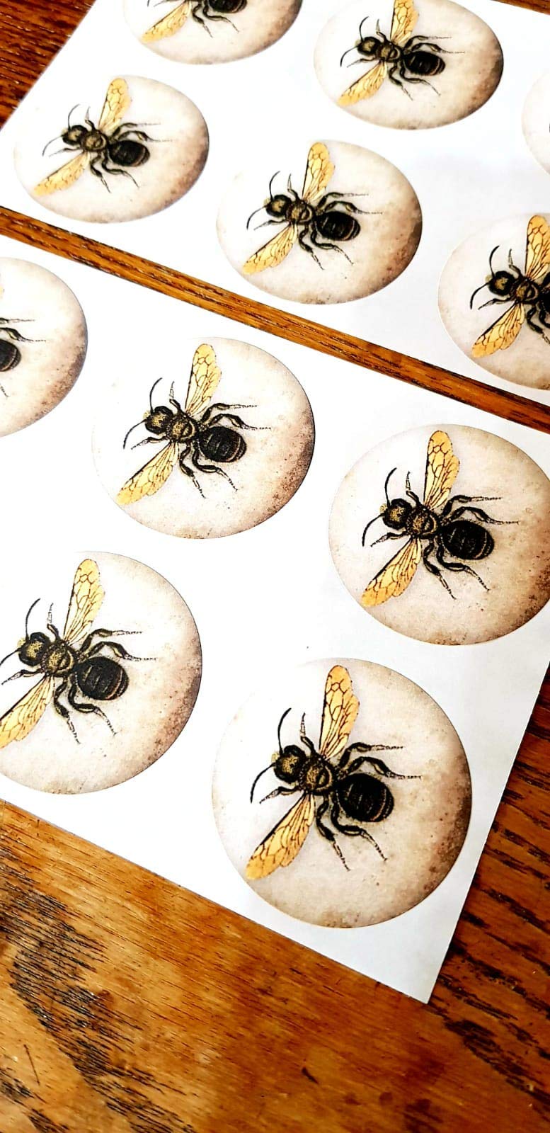 Insect Seals Vintage Style Envelope Stickers Steampunk Honey Bee Bug x24 Crafts