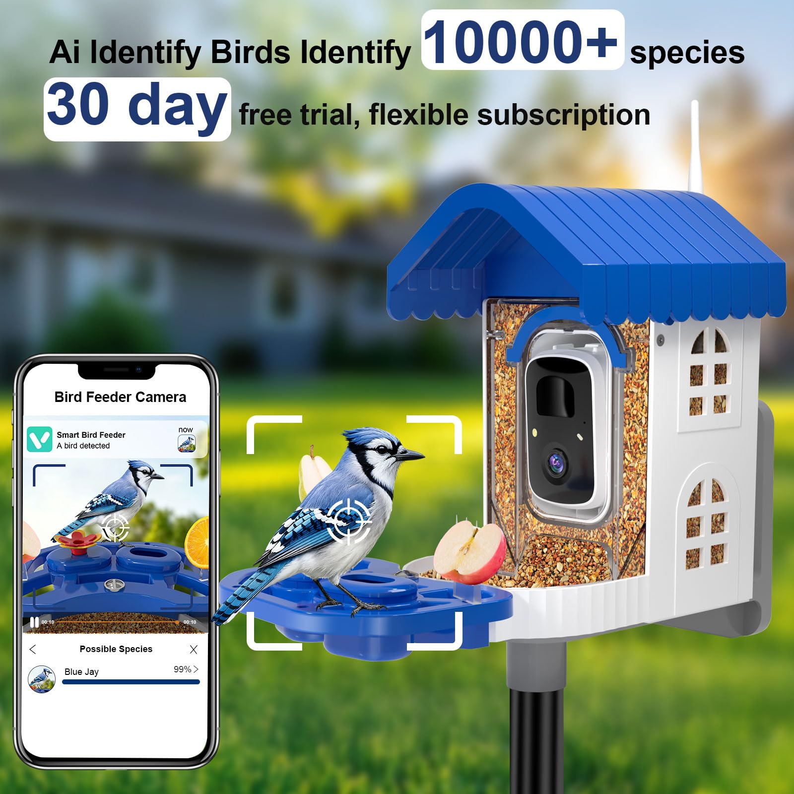 NEEZUKAR Comedero para pájaros con cámara alimentada por energía solar, cámara inteligente para pájaros con reconocimiento de IA, cámara de video HD 2K para observación de aves, diseño resistente a la