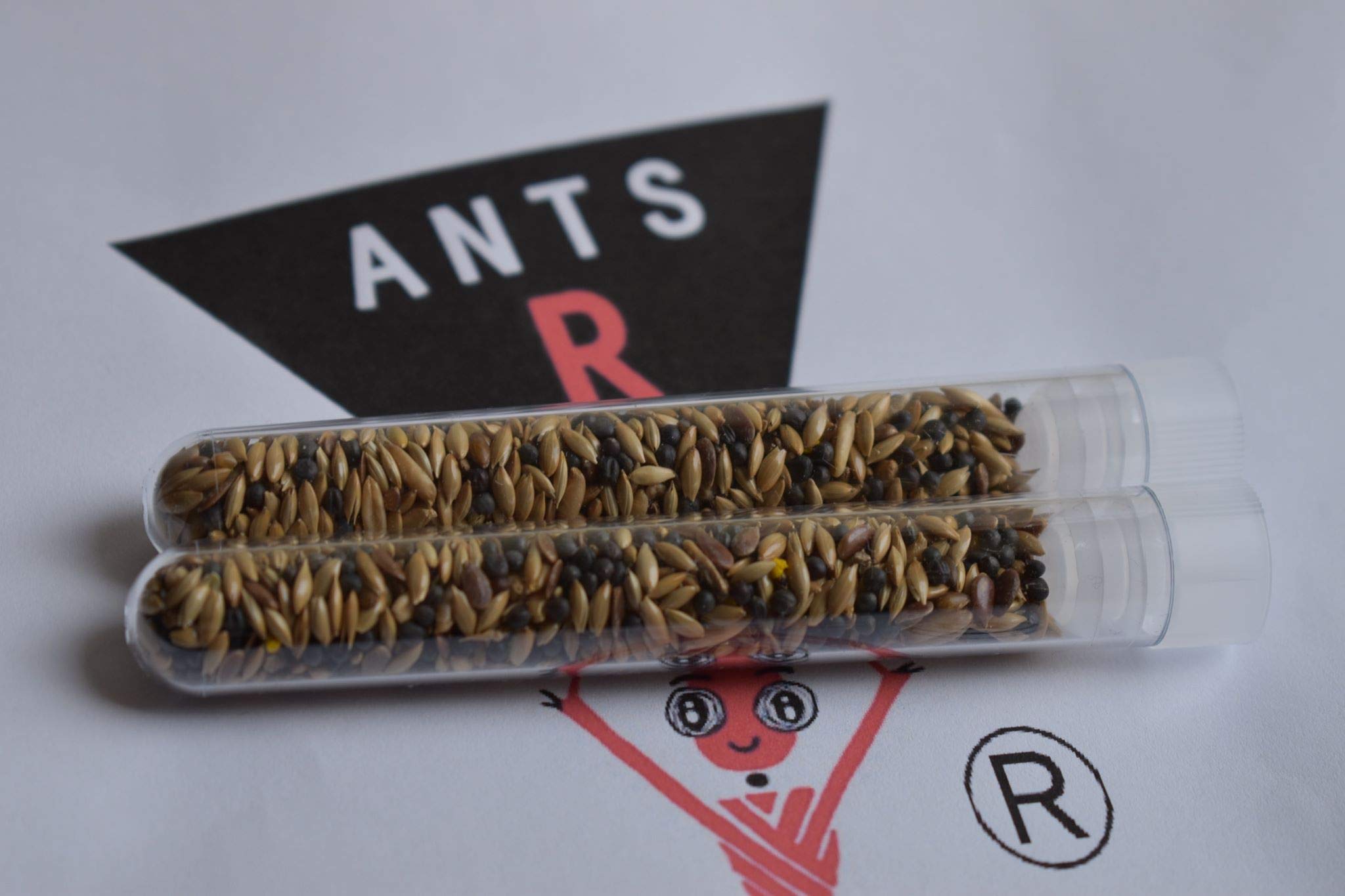 AntsRus Organic Seed mix for Harvester ants (various tube sizes) (2x (100x16mm) Tube of seeds)