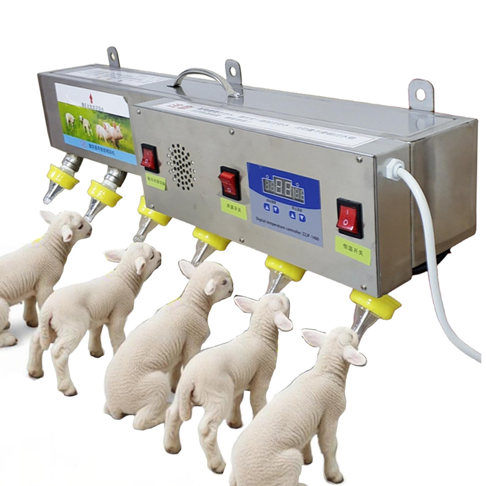 Alimentation en acier inoxydable pour agneau pour simplifier l'élevage au quotidien