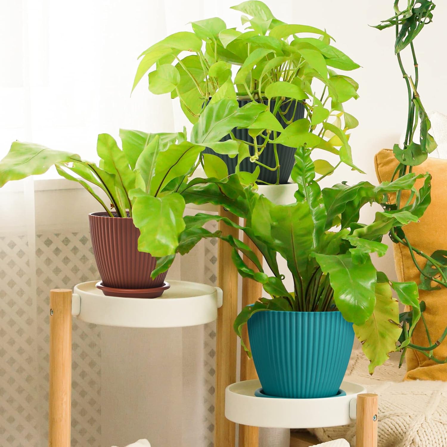 Plastic Planter 7.5/6.7/6/5/4 Inch Plant Flower Pots with Drainage Hole and Base Tray, Modern Decorative Garden Pots for All Indoor Plants, Aloe, Snake Plants, Multicolors : Patio, Lawn & Garden