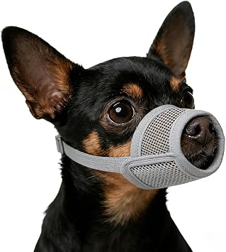 Dog Muzzle for Small Medium Large Dogs Soft Air Mesh Muzzles | Breathable with Reflective Strips. Allows Panting Drinking. For Biting, Chewing, Grooming, Vet Visits, Training XXS, Grey