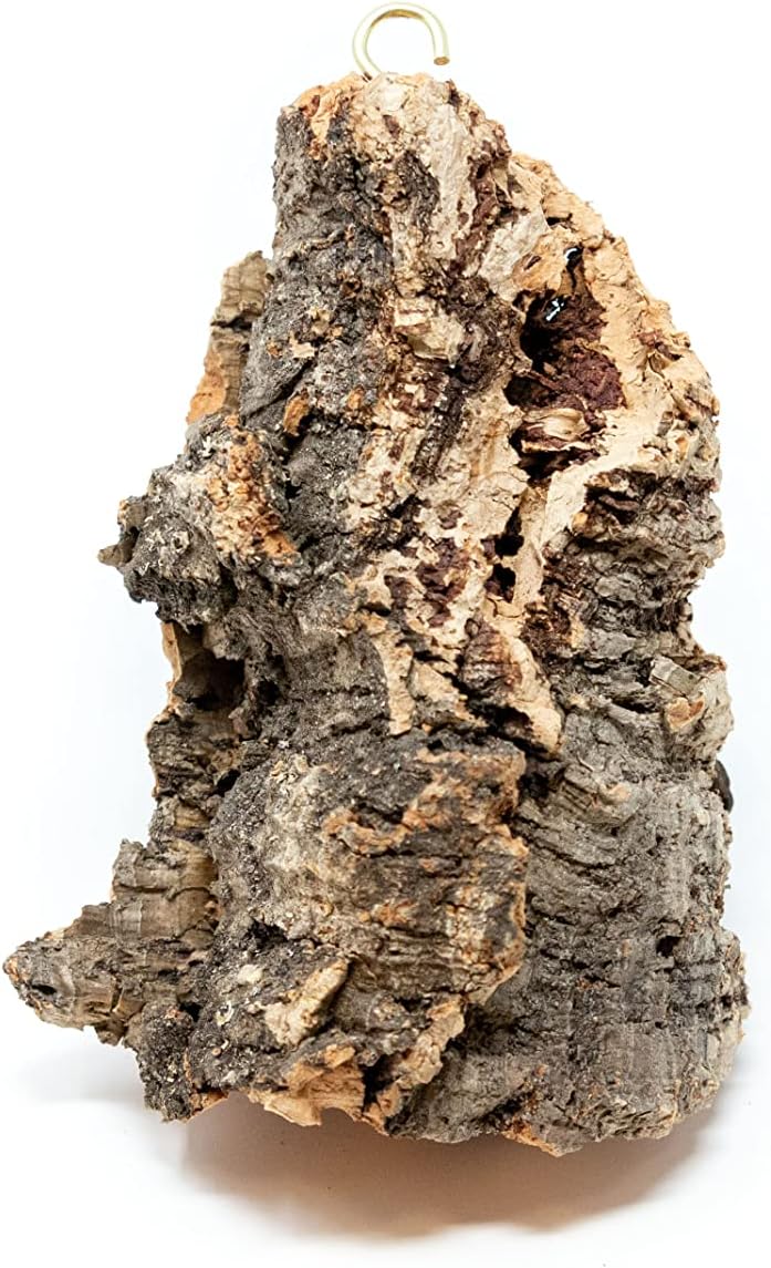 3 Small Chunk Natural Cork Bark DIY Kit with Three Assorted Air Plants, Glue and Hook - Live Tillandsia Succulent House Plant - Wholesale and Bulk - Easy Care Indoor and Outdoor Plants