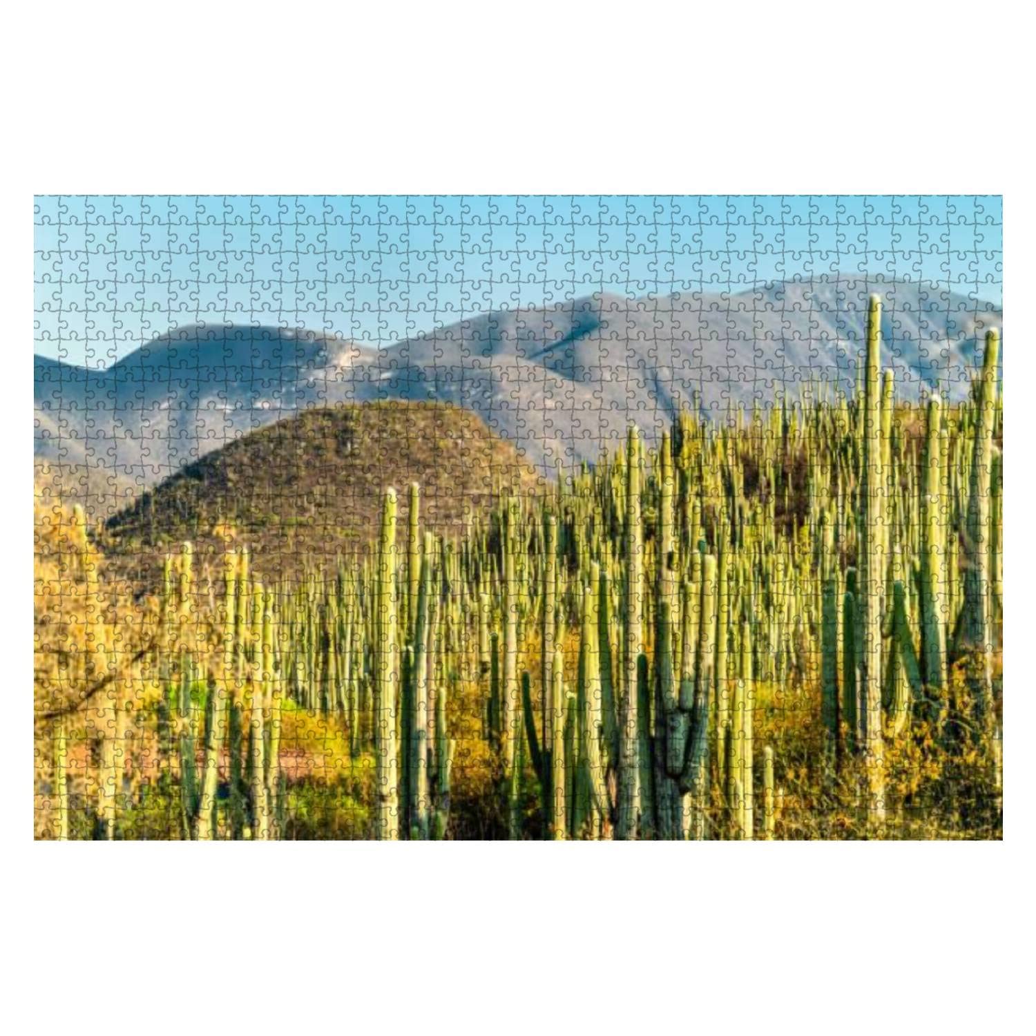 Tehuacan Cuicatlan Biosphere Reserve in Mexico 1000 Pieces Wooden Jigsaw Puzzles for Adults Decompression DIY Children Educational Puzzles Creative Games Toys Gift Home Decor