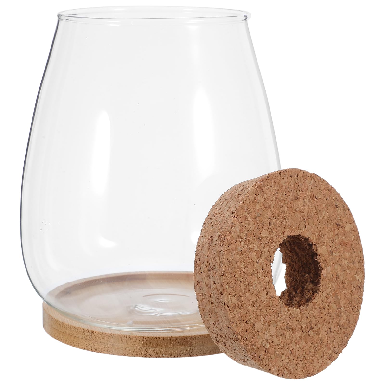 Toyvian Lot de 2 Sets de Vases de Propagation en Verre Hydroponique Grand Format avec Bouchon en Liège et Support en Bambou, Stations de Culture Solide pour Plantes D’intérieur Bureau