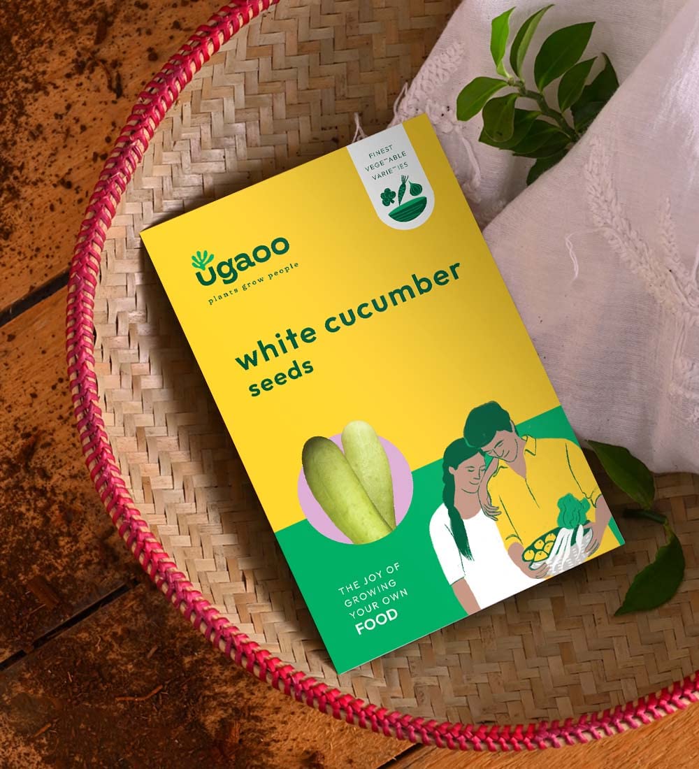 UGAOO Khira or Cucumber Vegetable Seeds (White, Pack of 1.2g) (B09MLP95NQ) Amazon Price History, Amazon Price Tracker