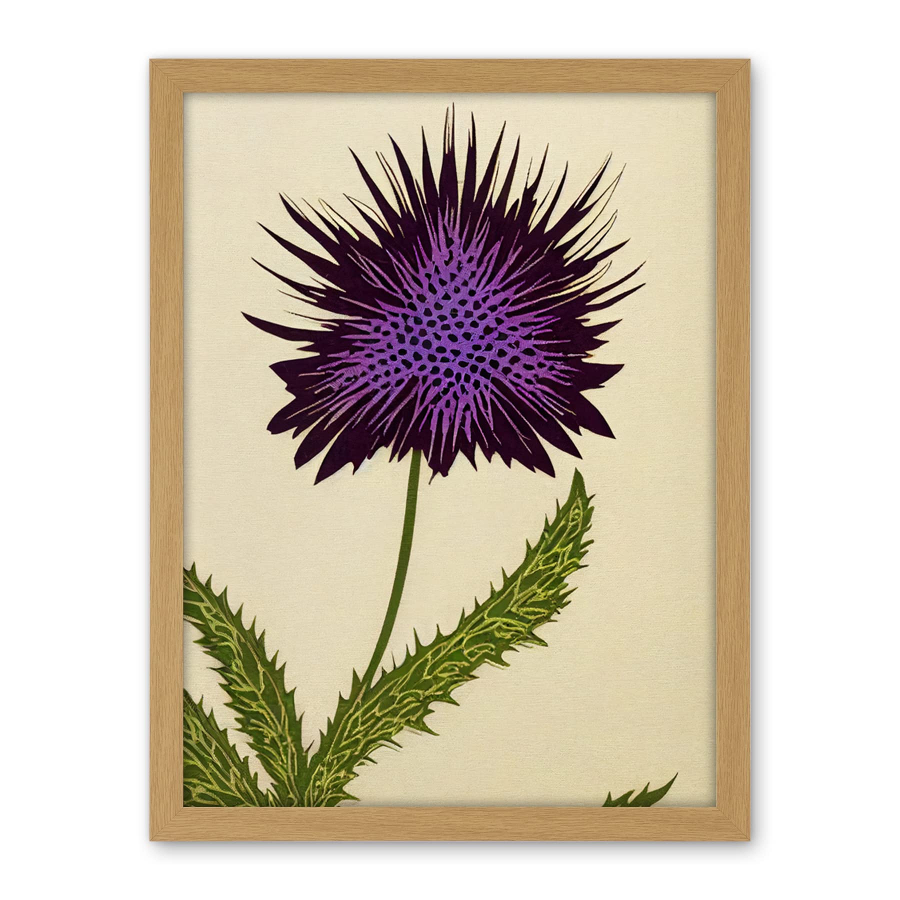 Wee Blue Coo Stylized Modern Purple Scottish Thistle Flower Illustration Artwork Framed Wall Art Print 18X24 Inch