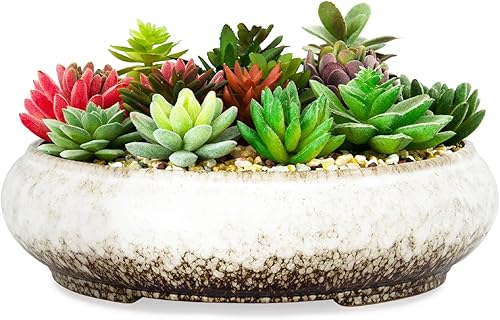 Miniatura 1 de Macetas para suculentas, macetas de cerámica para bonsái de 11.5 pulgadas con drenaje, macetas grandes y poco profundas para plantas de interior y