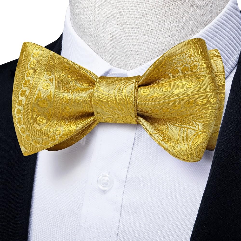 JFDBGU Bow Tie Set Handkerchief Cufflinks Self Tie Bowtie Silk Paisley Wedding Party Bowknot