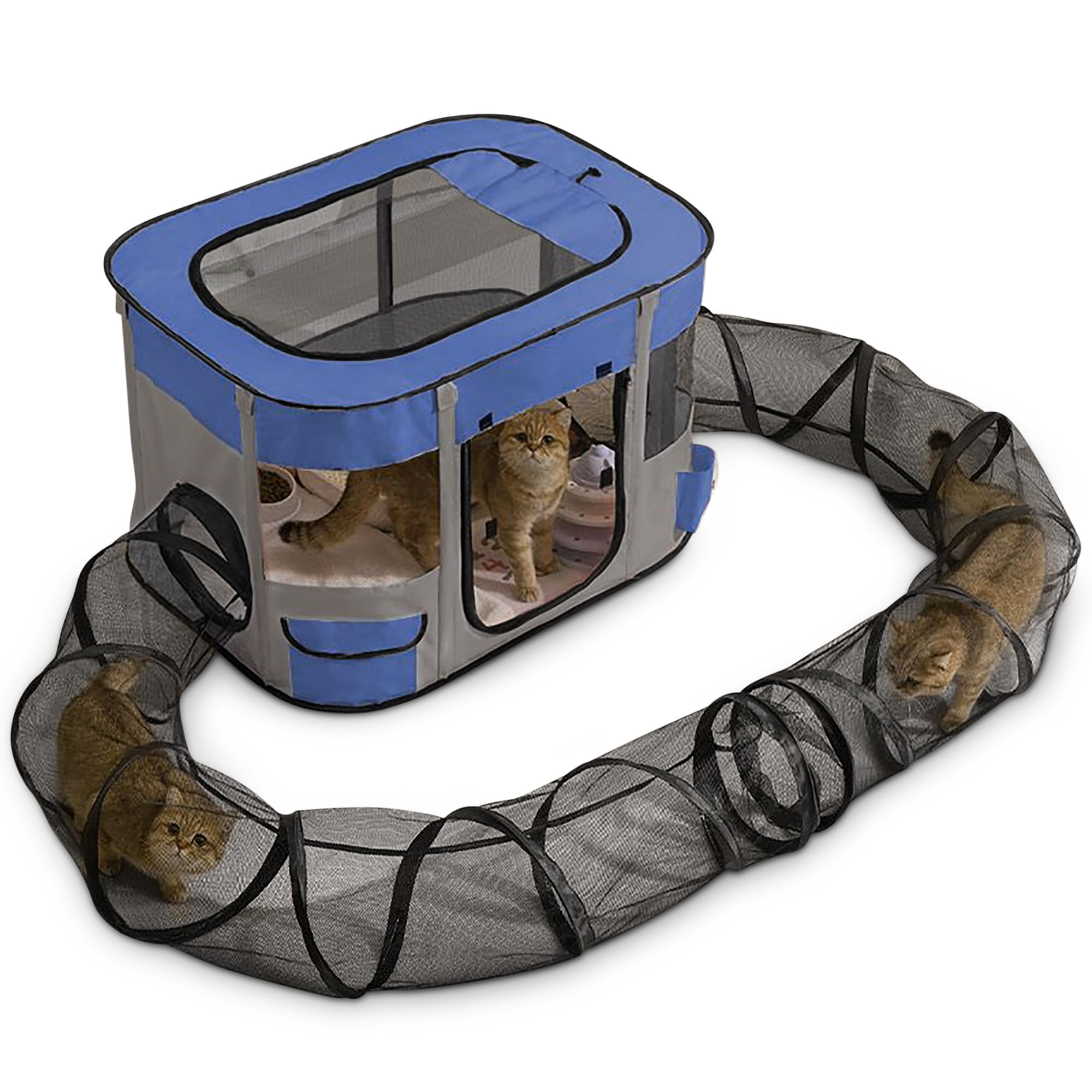ALLSOPETS Katzengehege mit Tunnel Interaktiver Faltbarer Katzenzaun mit Großem Spielbereich Sicheres Outdoor-Katzenzelt für Hauskatzen Kleine Tiere und Welpen (Blau, XL)