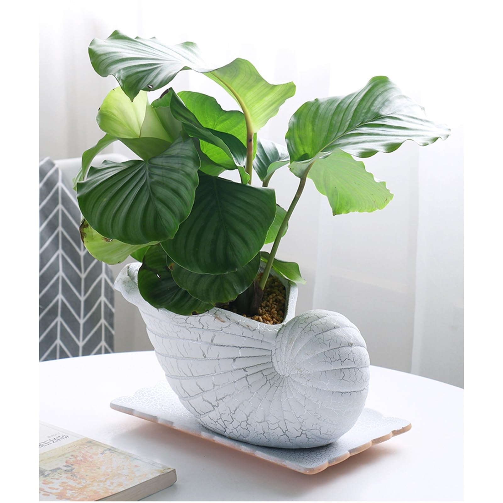 ULTRAWAVE Doniczki na kwiaty kreatywna wewnętrzna i zewnętrzna ceramiczna doniczka kreatywna dekoracja bonsai doniczkowa doniczka na sukulenty ozdobna doniczka