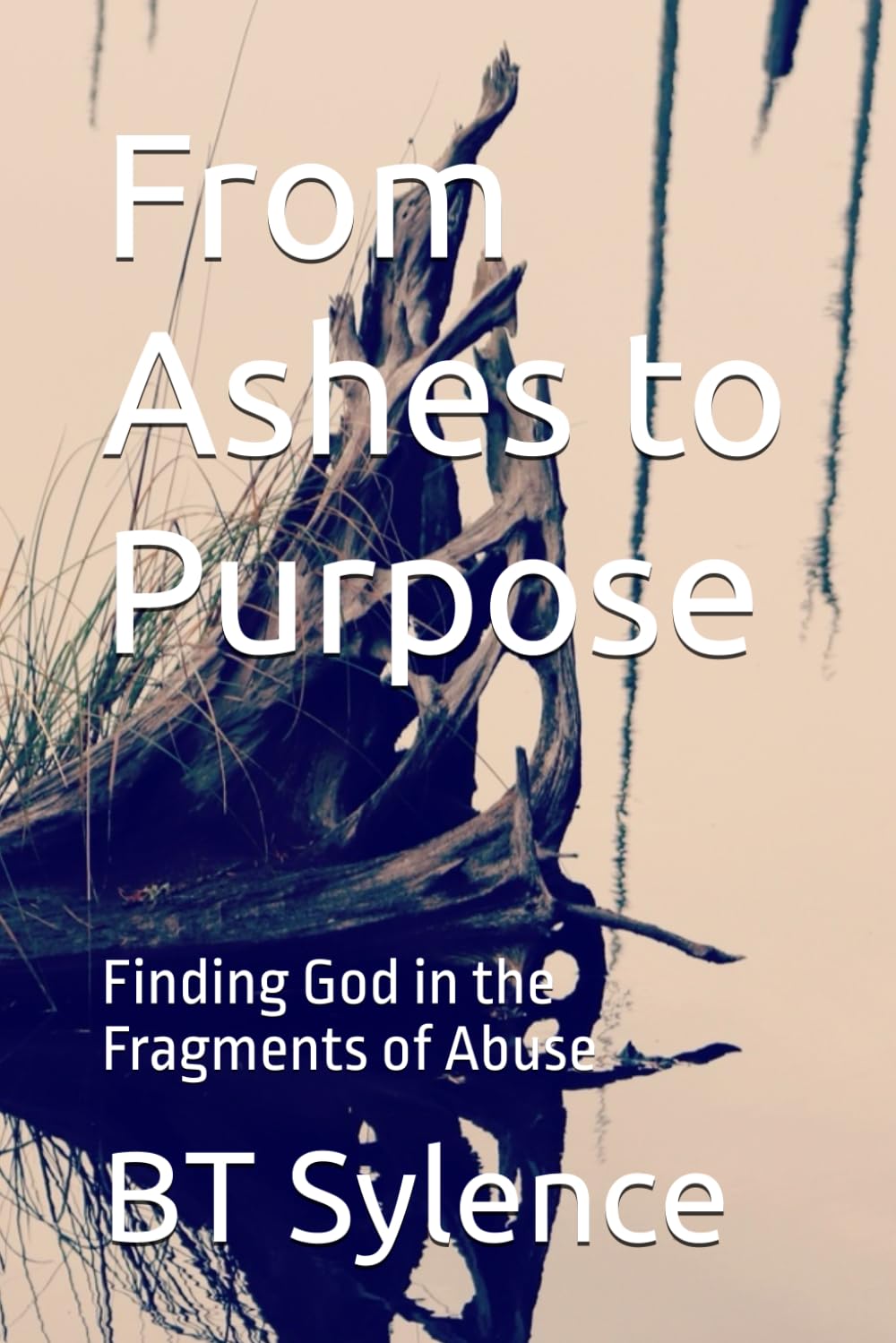 From Ashes to Purpose: Finding God in the Fragments of Abuse (From Survival to Surrender: Healing Trauma Through Truth, Grace, and Forgiveness)
