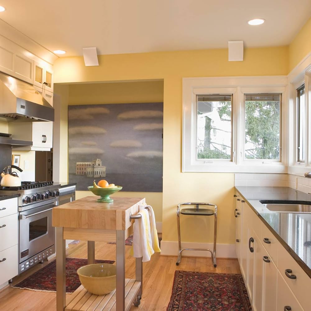 Polk Audio OWM3 Compact Multi-Application Speakers (Pair