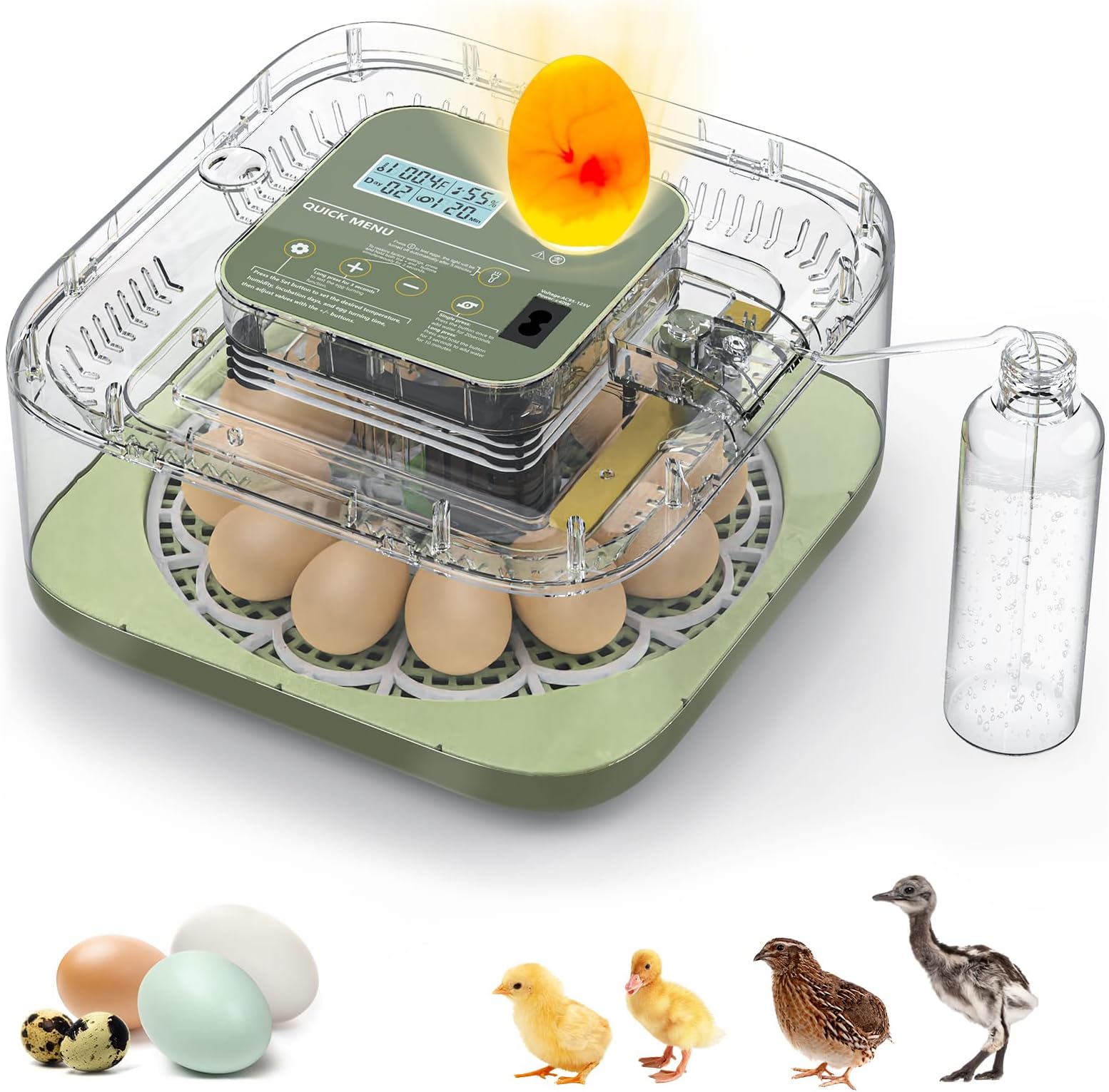 Incubators for Hatching Eggs, 12 Eggs Capacity, Egg Incubator with Automatic Egg Turning and Humidity Control for All Poultry - Chickens, Ducks, Quails, Turkeys, and More