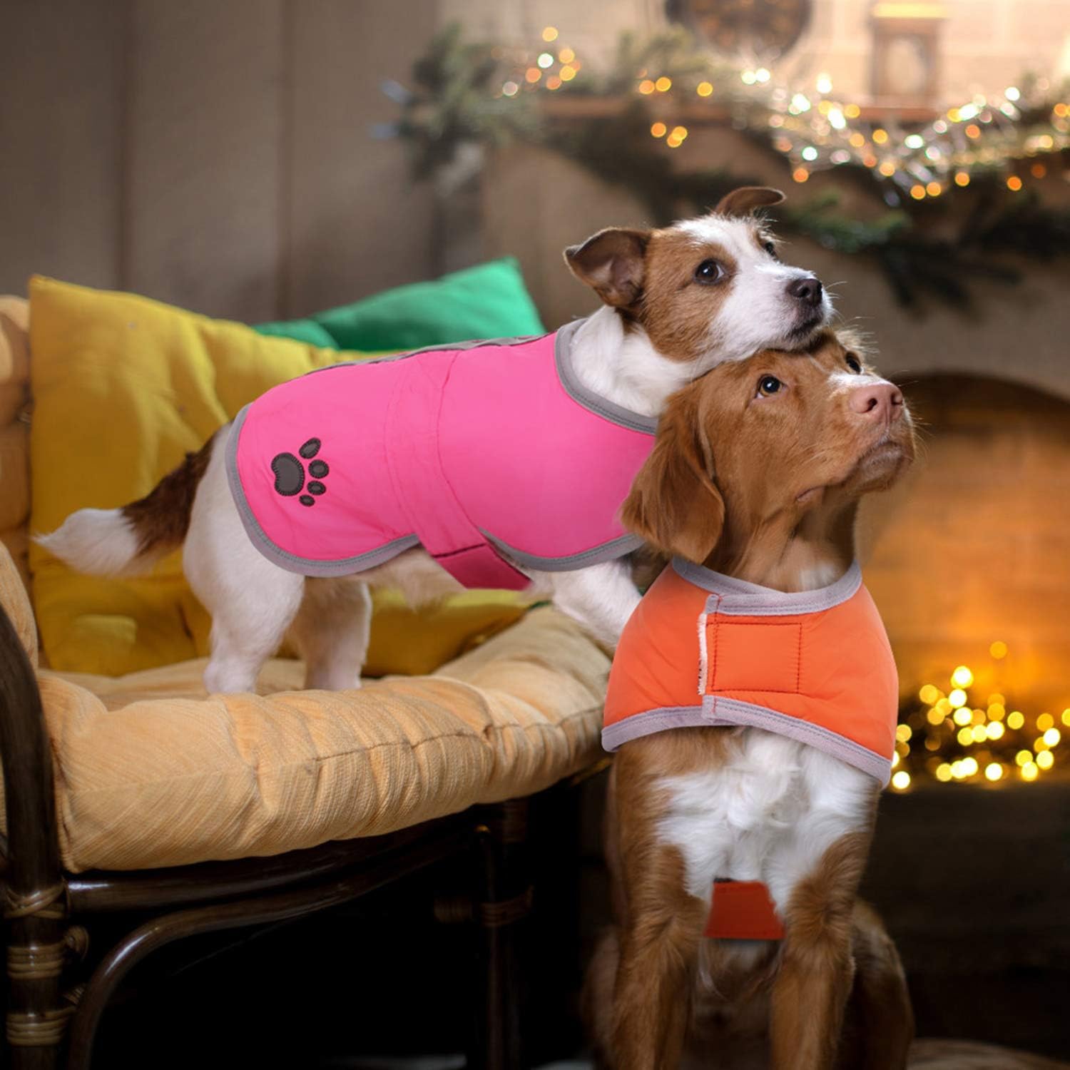 Queenmore Cold Weather Dog Coats Loft Reversible Winter Fleece Dog Vest Waterproof Pet Jacket Available in Extra Small, Small, Medium, Large Extra Large Sizes : Pet Supplies