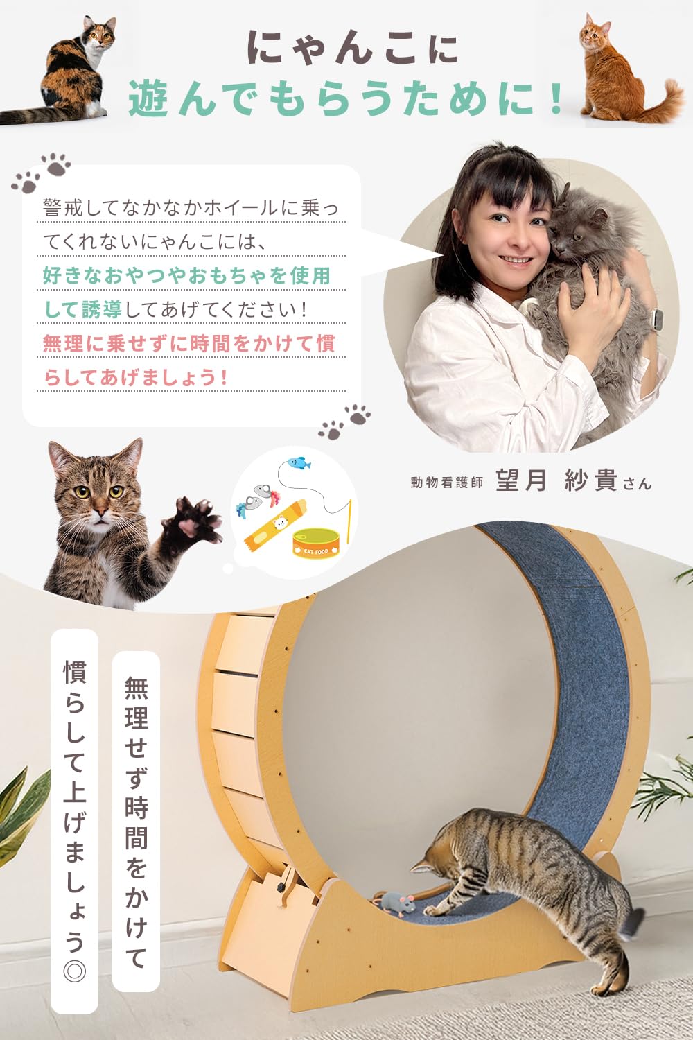 Amazon.co.jp: SIMPS キャットホイール 【獣医師監修】中～大型猫専用